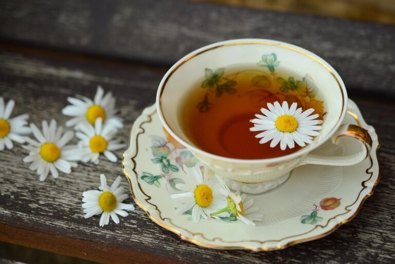 cup, tee, porcelain, drink, decor, break, still life, teatime, herbal tea, tea, chamomile tea, health, tea cup, herbs, tumblr wallpaper