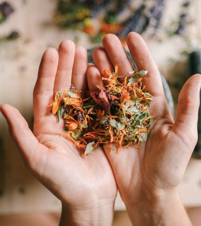 Close-up of hands holding a mix of vibrant dried herbs on a wooden surface.